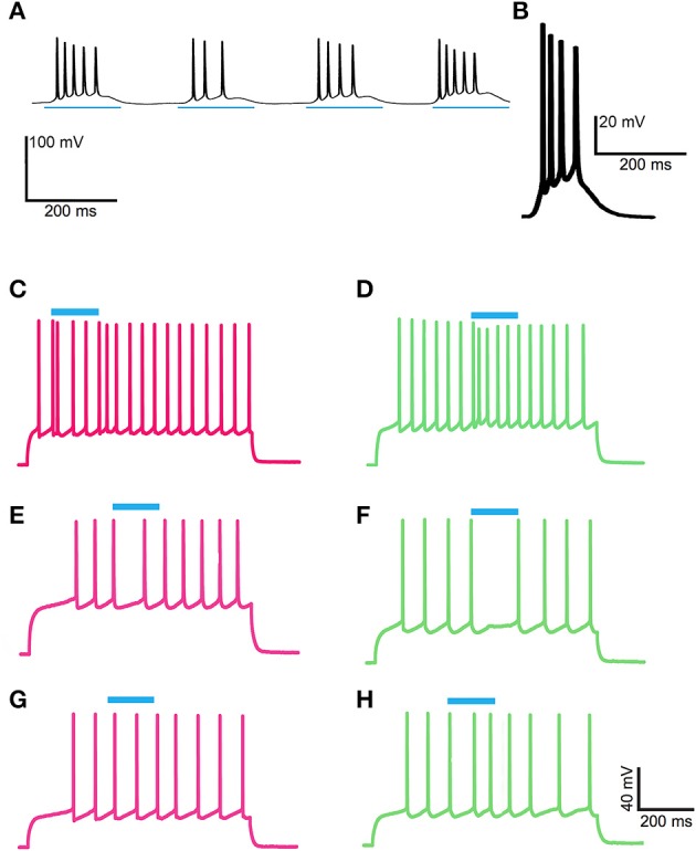 Figure 9