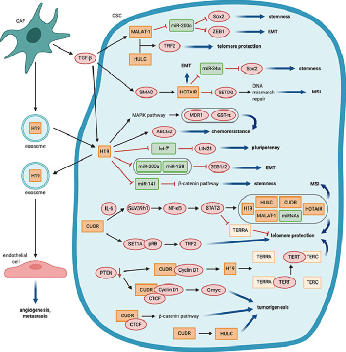 Image, graphical abstract