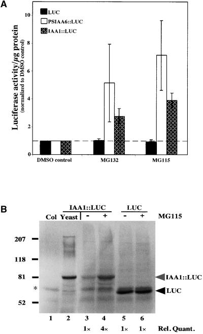 Figure 6.