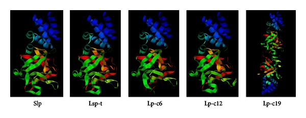 Figure 2