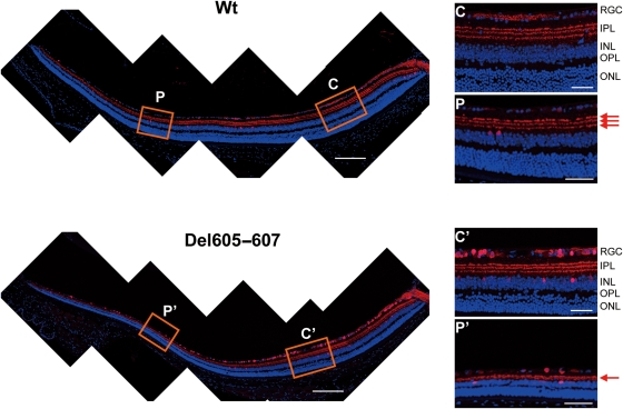 Figure 3.