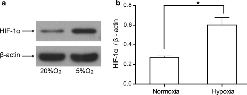 Fig. 5