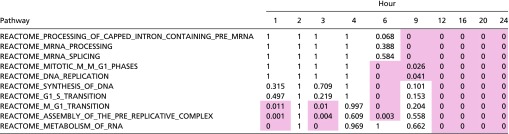 graphic file with name pnas.1707517114st01.jpg