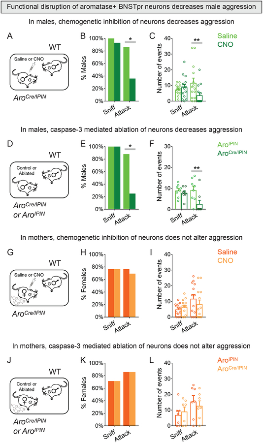 Figure 6: