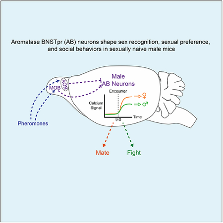 graphic file with name nihms-1517718-f0001.jpg