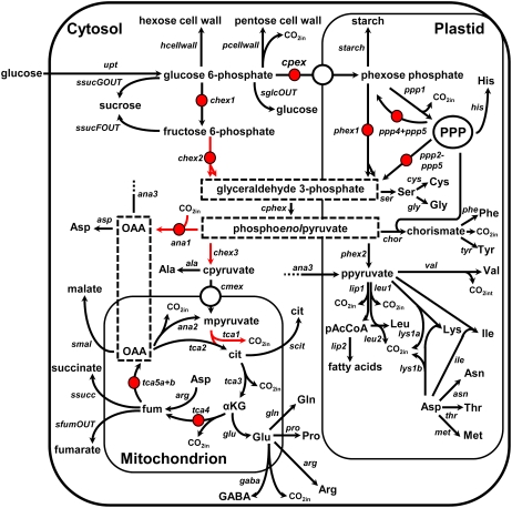 Figure 5.