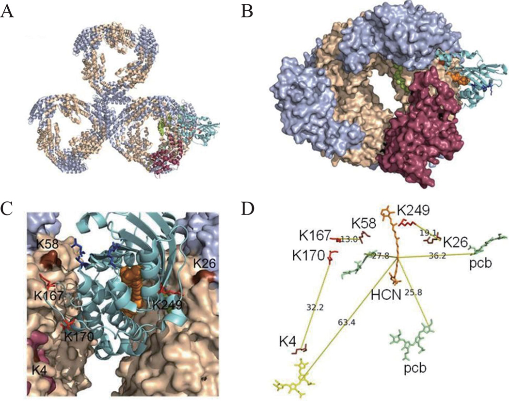 Fig. 3