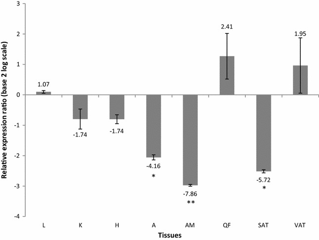 Fig. 4