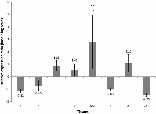 Fig. 3