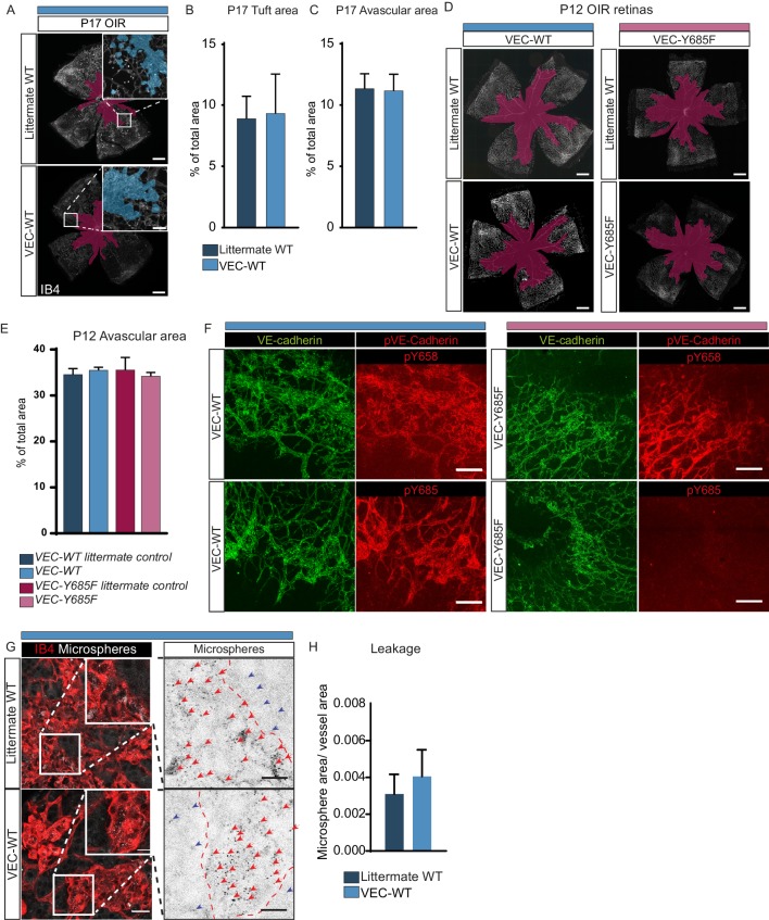 Figure 4—figure supplement 1.