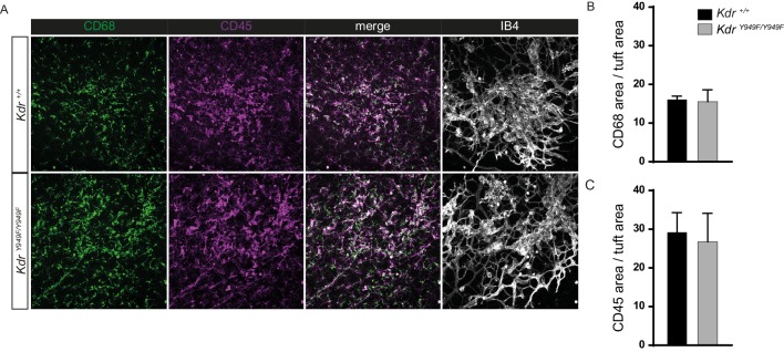 Figure 2—figure supplement 2.