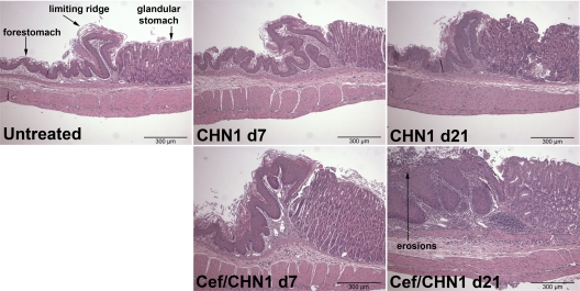 FIG 2