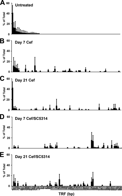 FIG 6