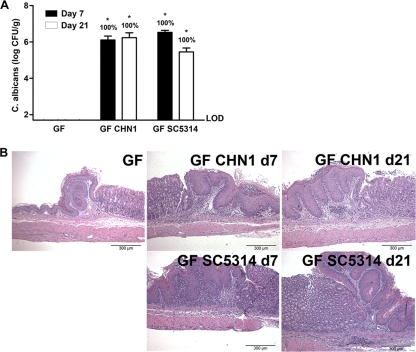 FIG 9