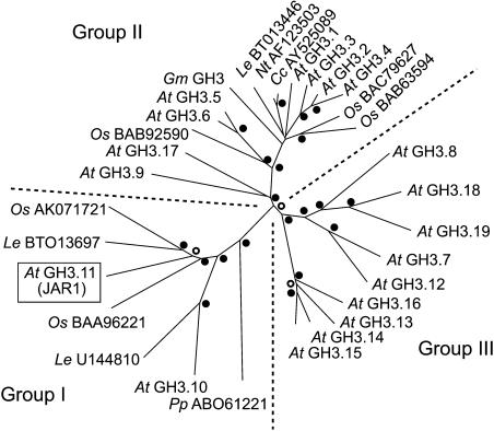 Figure 6.