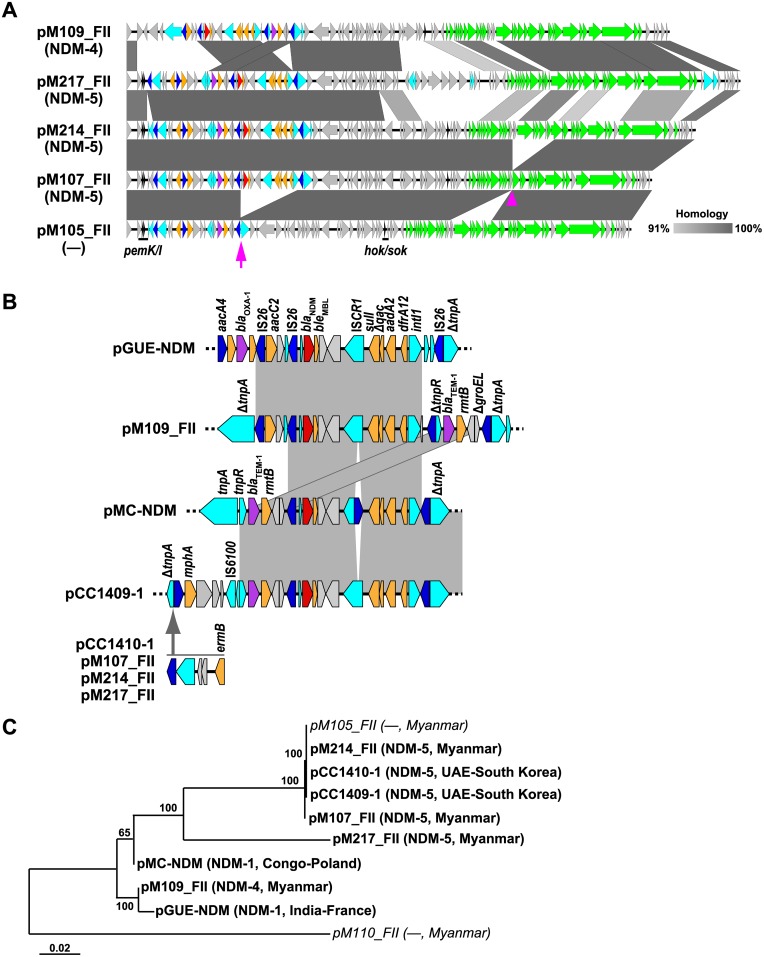 Fig 4