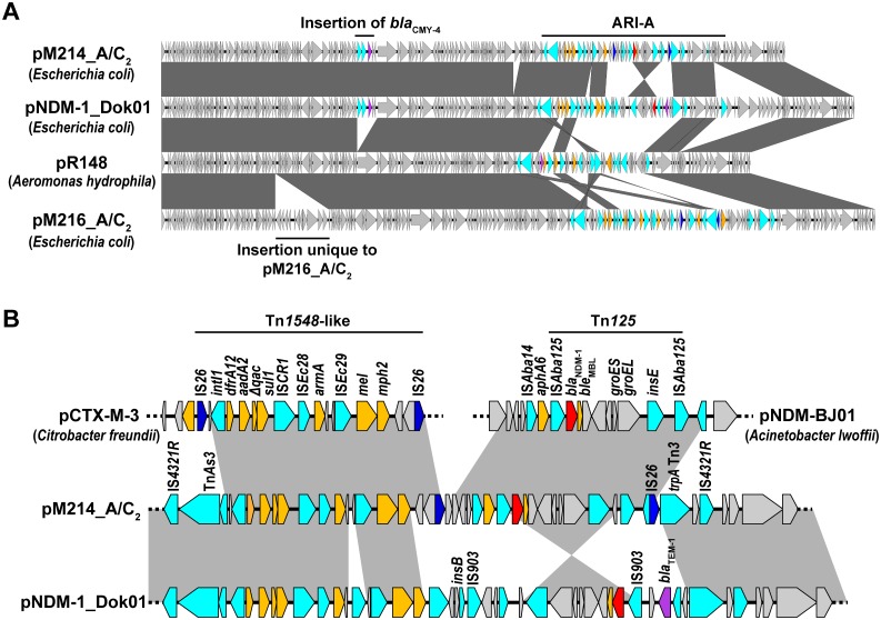 Fig 2