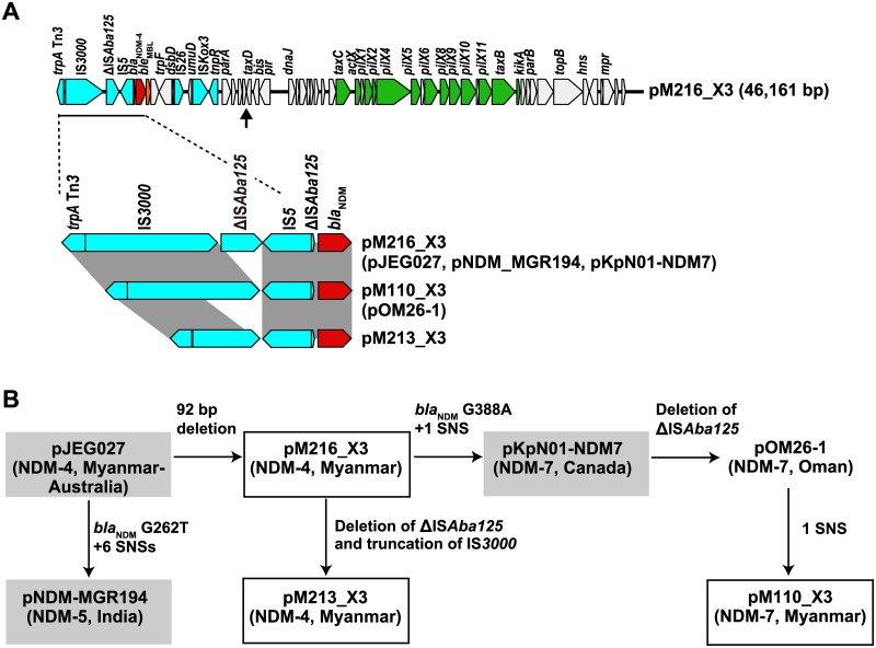 Fig 3