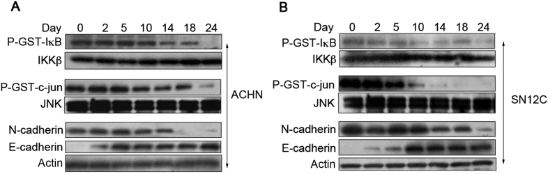 Figure 5