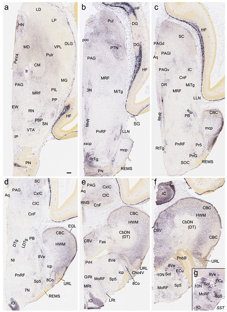 Fig. 18.