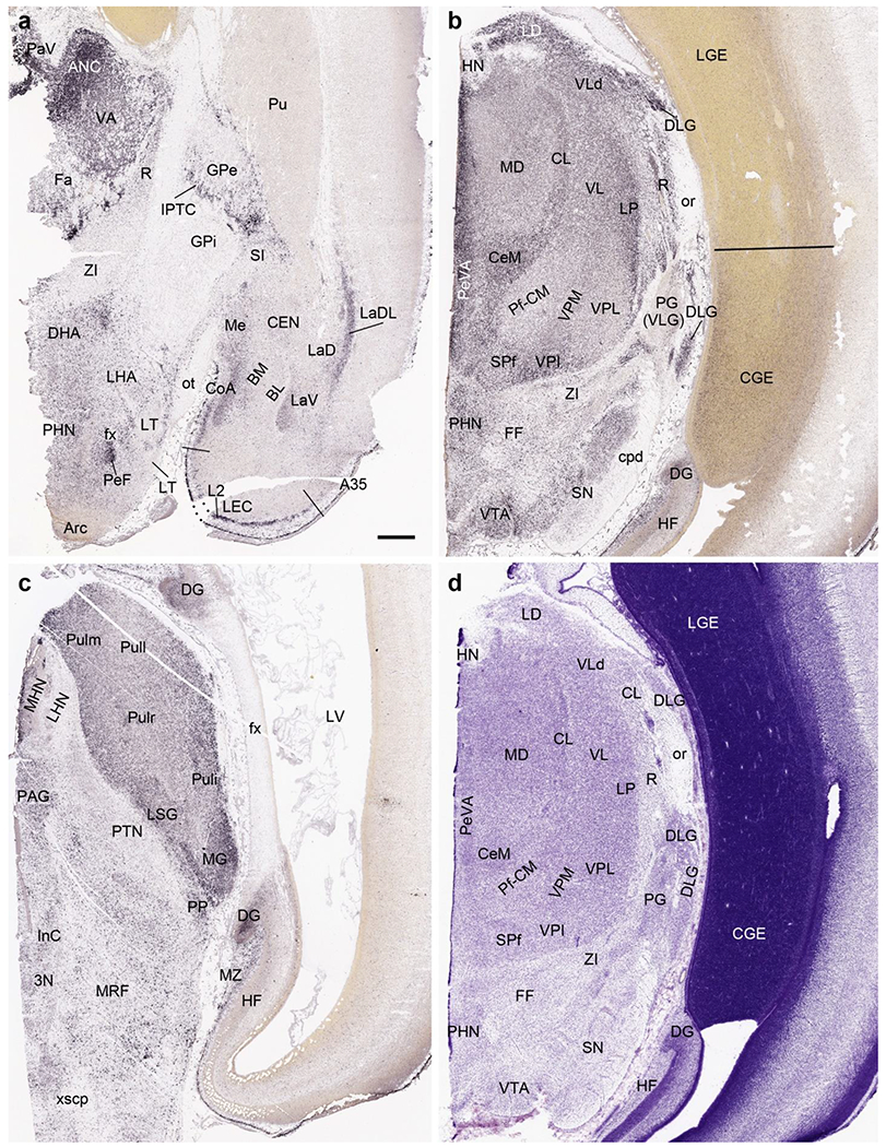 Fig. 14.