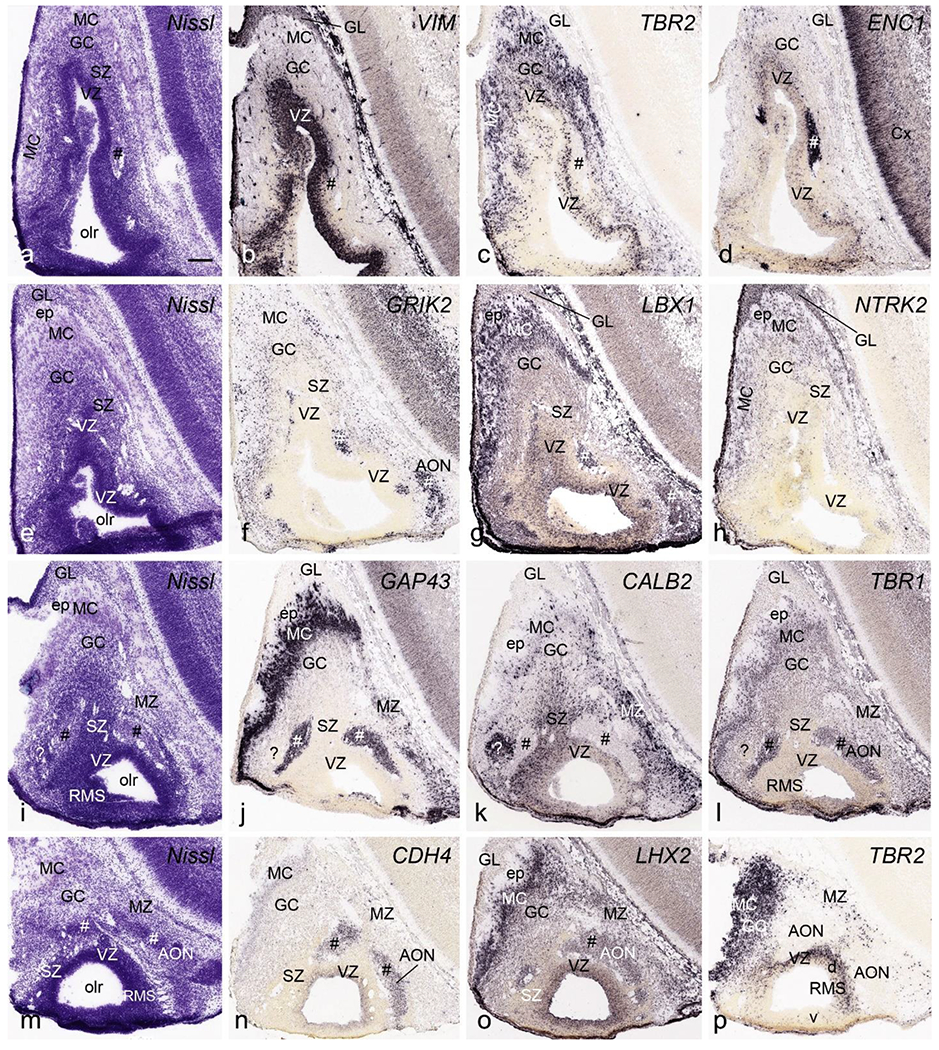 Fig. 21.