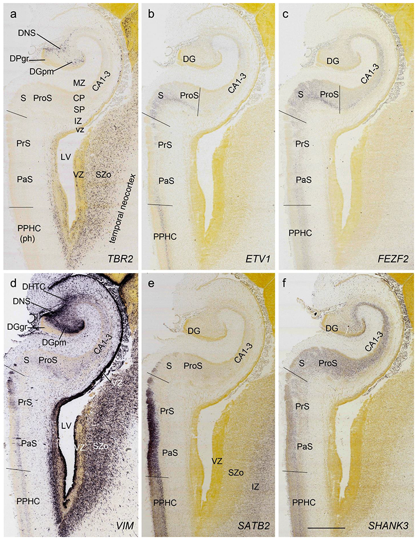 Fig. 10.