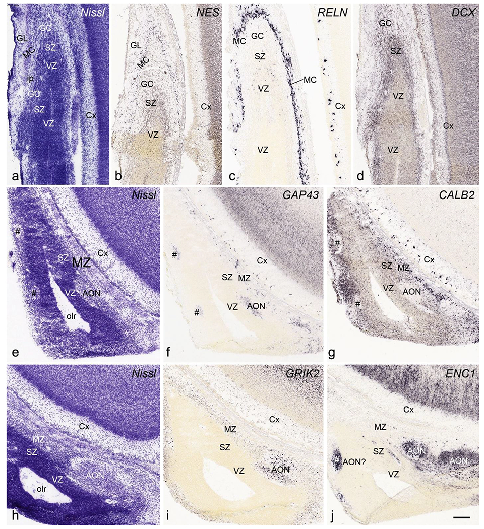 Fig. 22.