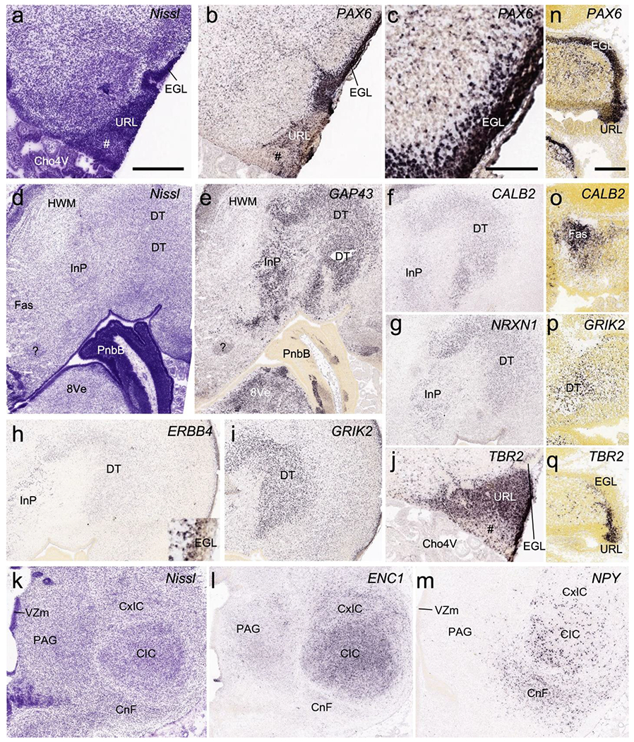 Fig. 17.