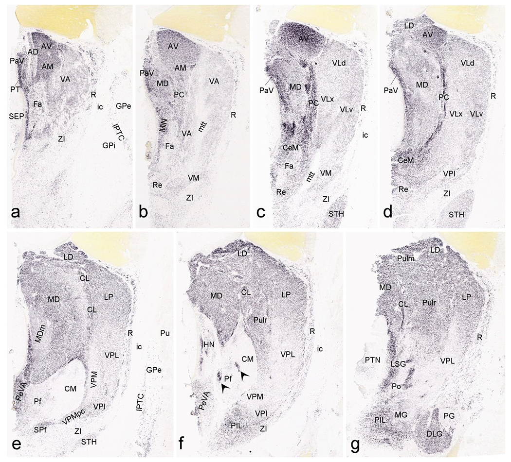 Fig. 15.