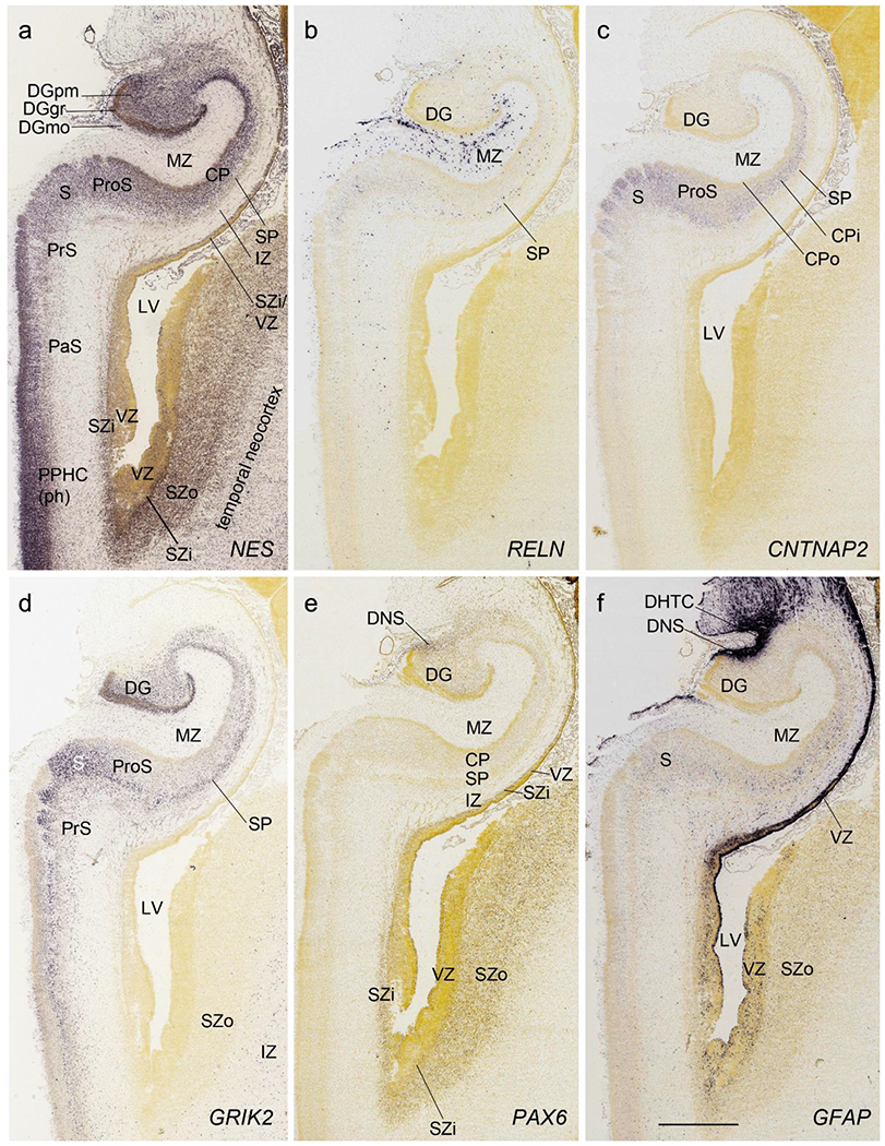 Fig. 9.