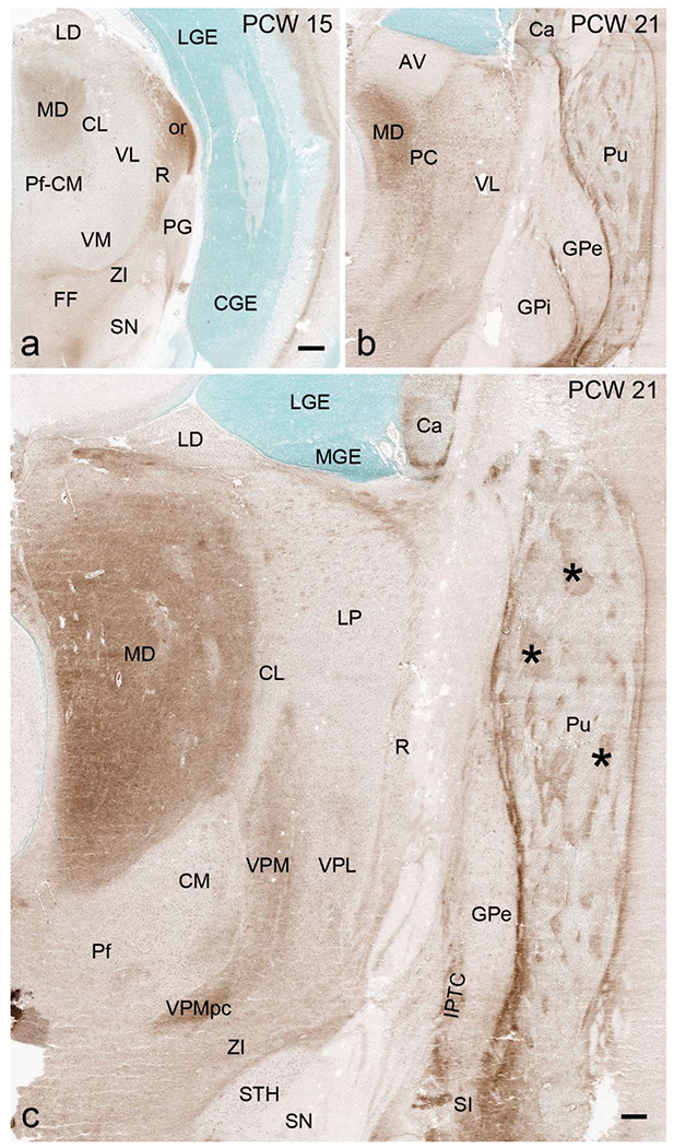 Fig. 16.