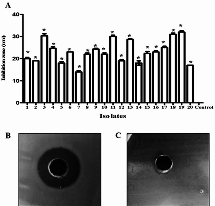 Fig. 9