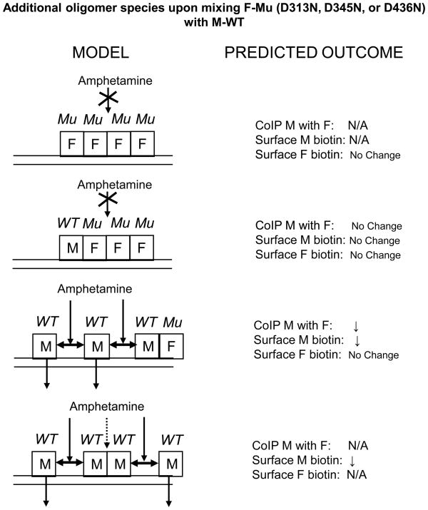 Fig. 11