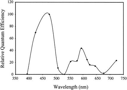 FIG. 5.