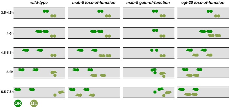 Fig 5