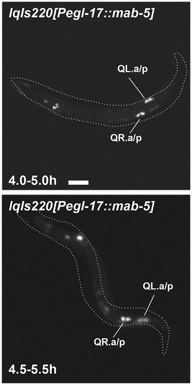 Fig 9