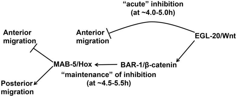 Fig 11