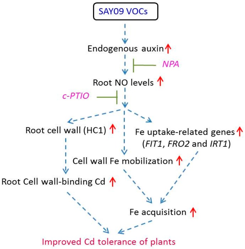 Figure 13