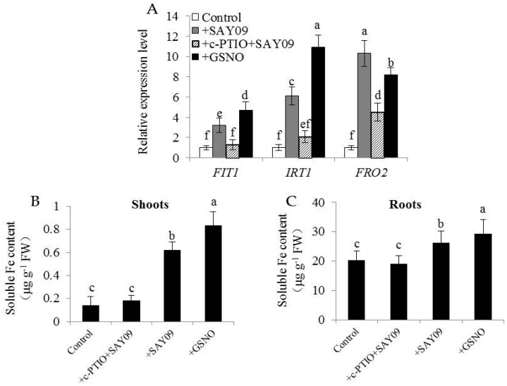 Figure 12