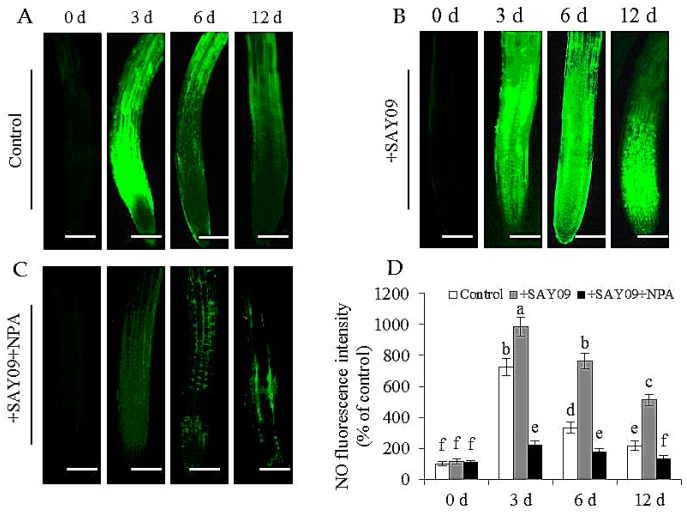 Figure 10