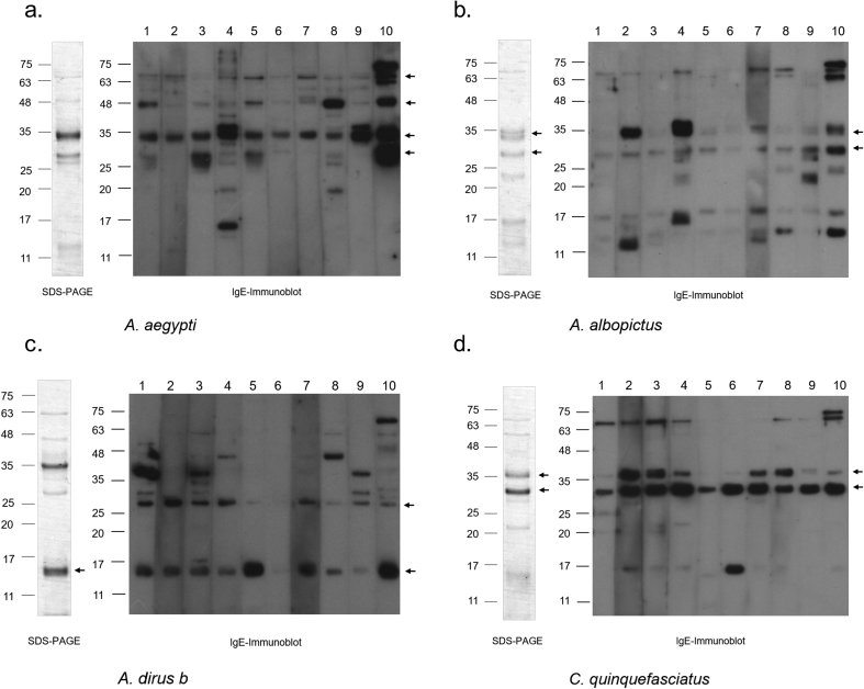 Fig. 4