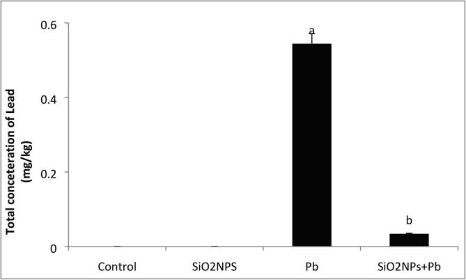 Fig. 13