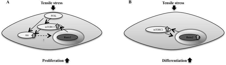 Fig. 9