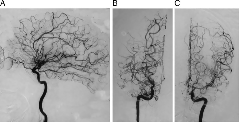 Figure 2: