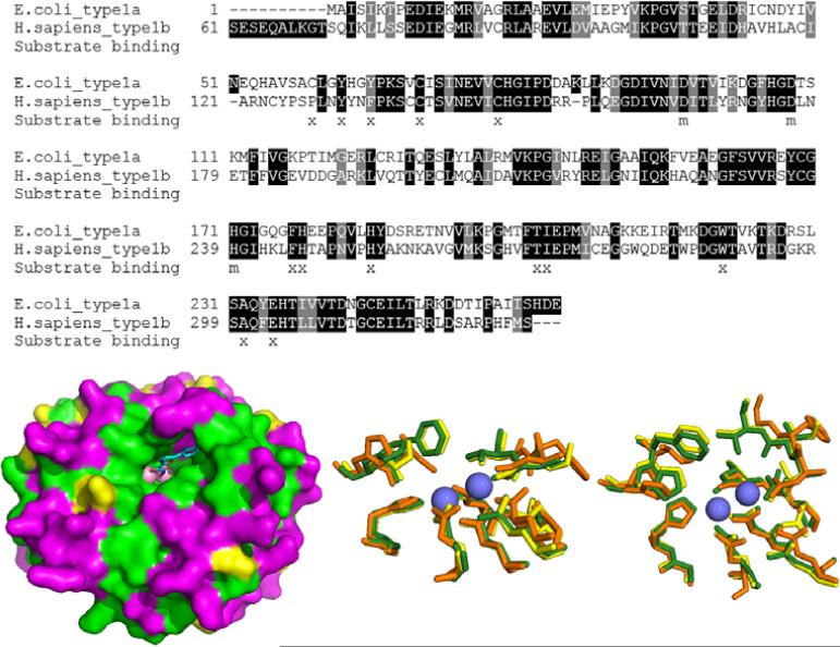 Fig. (2)