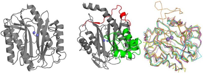 Fig. (1)