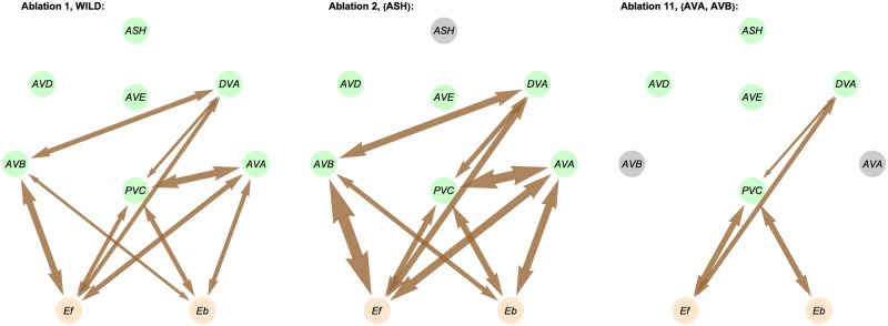 Fig 13