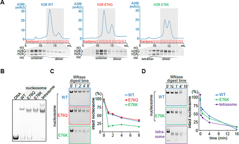 Figure 3: