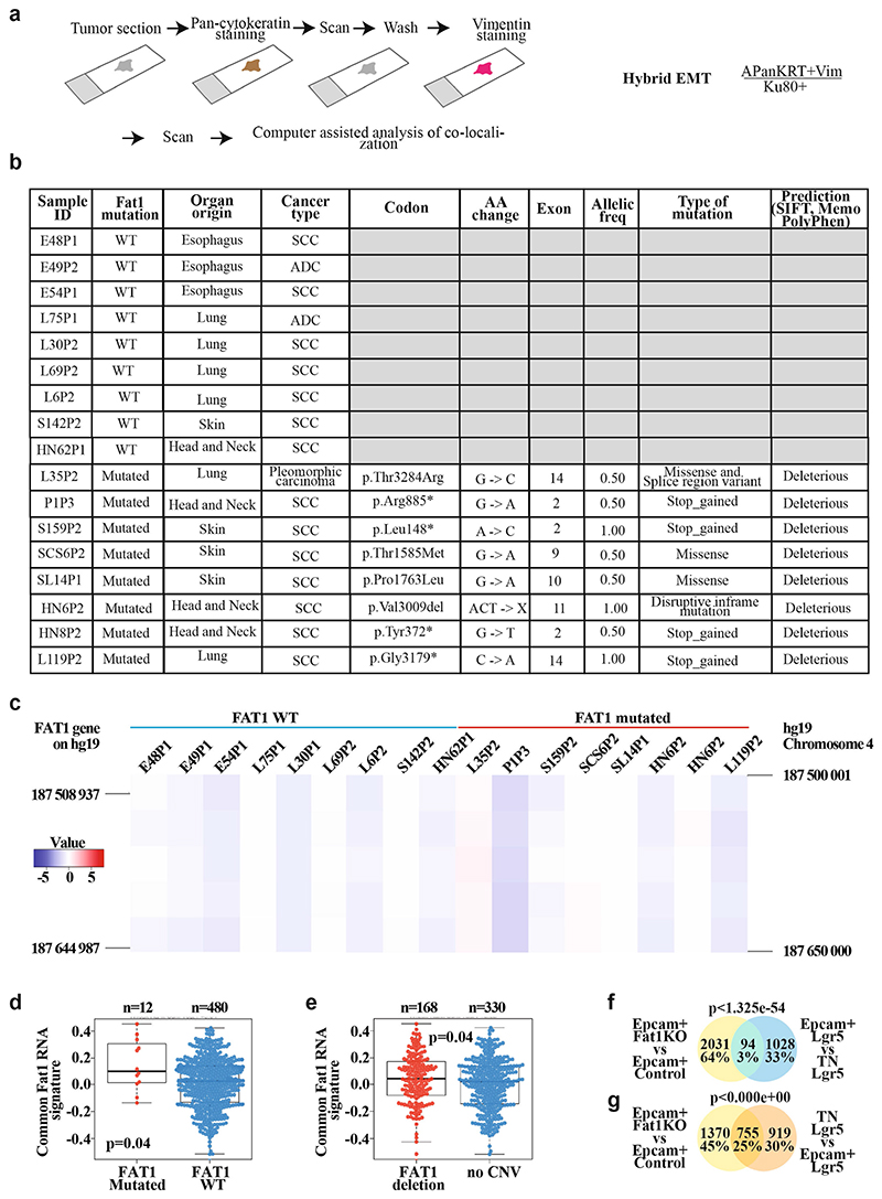 Extended Data Fig. 5